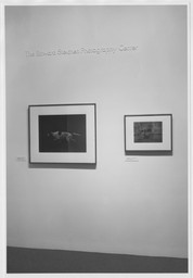 Installation photo, 7 of 7