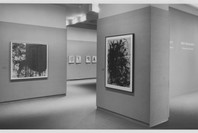 Europe, America: A Selection from the Collection. Jul 28–Oct 23, 1988. 1 other work identified