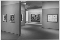 Europe, America: A Selection from the Collection. Jul 28–Oct 23, 1988. 1 other work identified