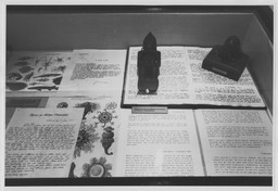 Installation photo, 7 of 10