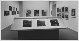 Installation photo, 5 of 7