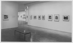 Installation photo, 9 of 35