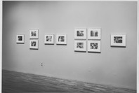 Nicholas Nixon: Pictures of People. Sep 15–Nov 13, 1988. 1 other work identified