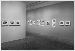 Installation photo, 12 of 14
