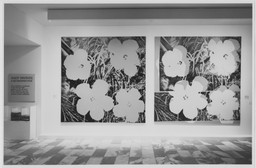 Installation photo, 34 of 79