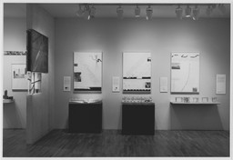 Emilio Ambasz/Steven Holl: Architecture. Feb 9–Apr 4, 1989. 