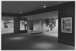 Installation photo, 9 of 12