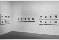 Walker Evans: American Photographs. Jan 19–Apr 11, 1989.