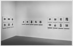 Walker Evans: American Photographs. Jan 19–Apr 11, 1989. 