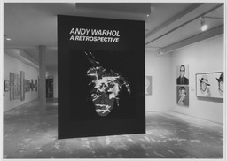 Installation photo, 1 of 79