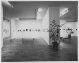 Installation photo, 19 of 29