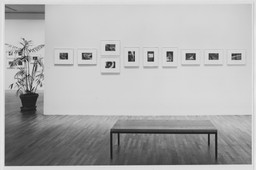 Installation photo, 20 of 29