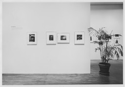 Installation photo, 21 of 29
