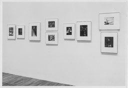 Installation photo, 26 of 29