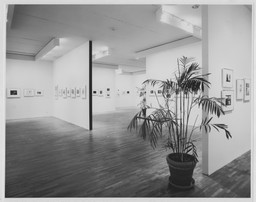 Installation photo, 28 of 29