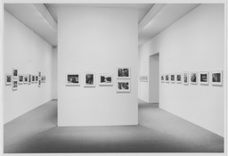 Installation photo, 5 of 7
