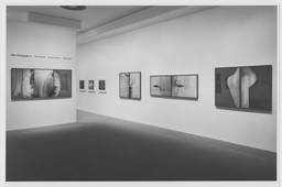New Photography 5: Vincent Borrelli, Thomas Florschuetz, Mike
