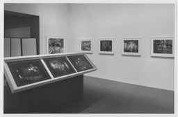 Installation photo, 3 of 7