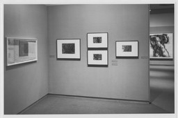Drawings of the Eighties from the Collection, Part I. Nov 9, 1989–Feb 13, 1990. 