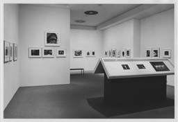 Installation photo, 29 of 40