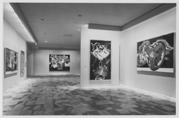 Installation photo, 4 of 8