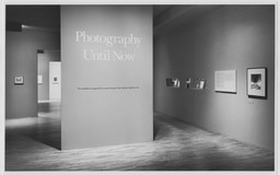 Installation photo, 2 of 54