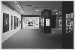 Installation photo, 4 of 17
