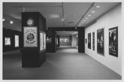 Installation photo, 5 of 17
