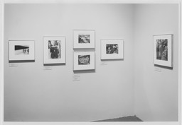Installation photo, 28 of 40