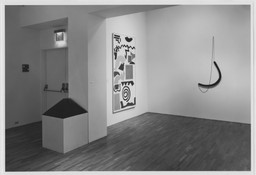 Installation photo, 6 of 15