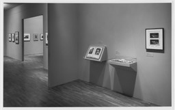 Installation photo, 18 of 54