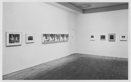 Installation photo, 36 of 54