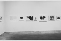 Photography Until Now. Feb 18–May 29, 1990.