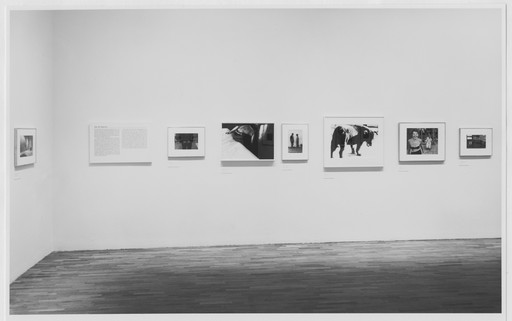 Daidō Moriyama (森山 大道). Stray Dog, Misawa. 1971 | MoMA