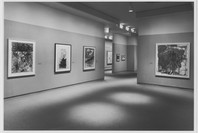 Drawings of the 80s from the Collection: Part II. Apr 12–Jul 10, 1990. 2 other works identified