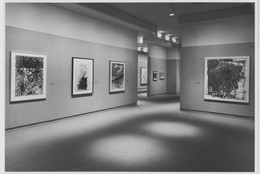 The Museum of Modern Art Archives, New York