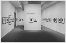 Installation photo, 1 of 16