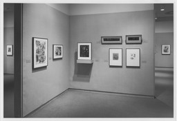 Installation photo, 6 of 15