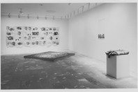 Projects 24: Kiki Smith. Nov 9, 1990–Jan 1, 1991.