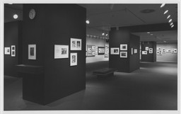 Installation photo, 5 of 9