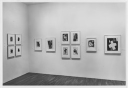 Installation photo, 13 of 36