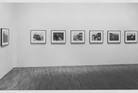British Photography from the Thatcher Years. Feb 14–Apr 28, 1991. 2 other works identified