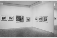 British Photography from the Thatcher Years. Feb 14–Apr 28, 1991.