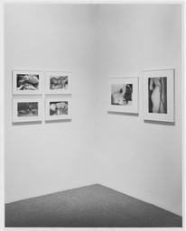 Installation photo, 4 of 7