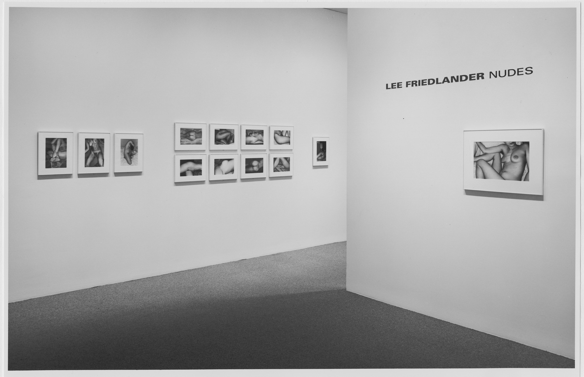 Installation view of the exhibition "Lee Friedlander: Nudes" MoMA