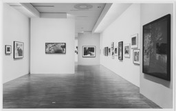Installation photo, 14 of 38
