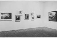 Pleasures and Terrors of Domestic Comfort. Sep 26–Dec 31, 1991. 1 other work identified