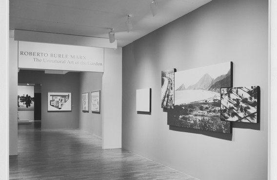 Roberto Burle Marx: The Unnatural Art of the Garden | MoMA