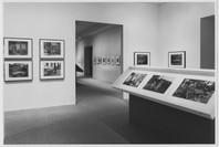 New Photography 7: Eberhard Grames, Sheron Rupp, and Stephen A. Scheer. Oct 17, 1991–Jan 7, 1992.