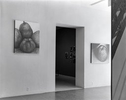 Installation photo, 2 of 48